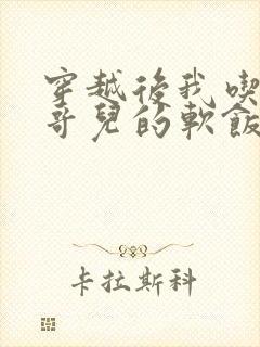 穿越后我吃到了哥儿的软饭炉山灰