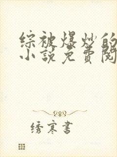 综被爆炒的日常小说免费阅读