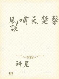 风啸天楚馨月小说