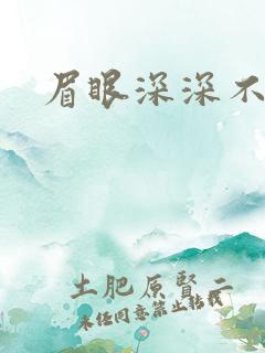 眉眼深深不藏你