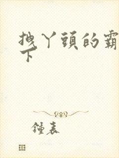 拽丫头的霸道殿下