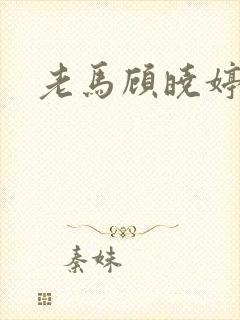 老马顾晓婷小说