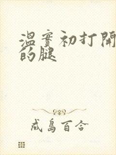 温实初打开眉庄的腿