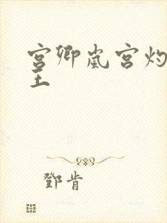 宫卿岚宫灼摄政王