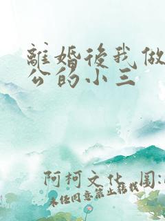 离婚后我做了老公的小三