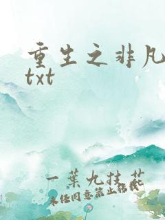 重生之非凡人生txt