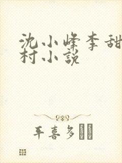沈小峰李甜的乡村小说