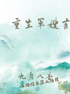 重生军嫂有空间