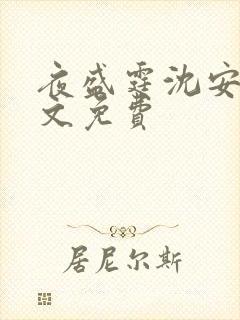 夜盛霆沈安然全文免费