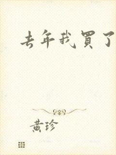 去年我买了个表