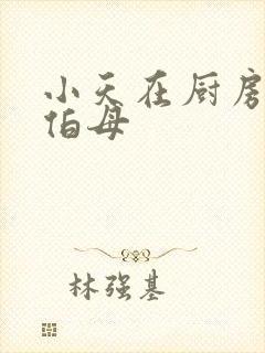 小天在厨房插杨伯母