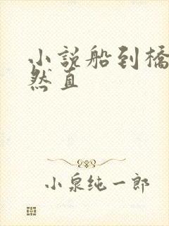 小说船到桥头自然直