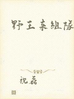 野王来组队小说