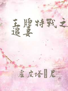 王牌特战之军少追妻