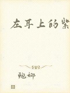 左耳上的紫水晶