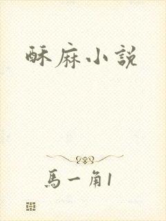 酥麻小说