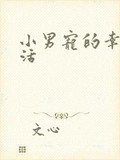 小男宠的幸福生活