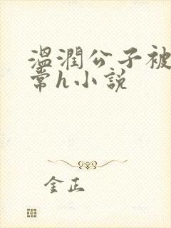 温润公子被脔日常h小说