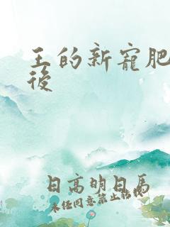 王的新宠肥婆皇后