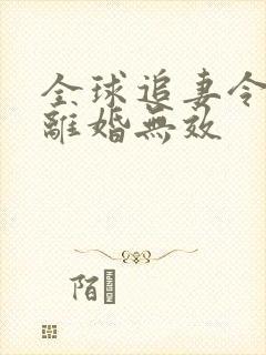 全球追妻令老婆离婚无效