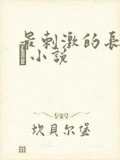最刺激的长篇乱惀小说