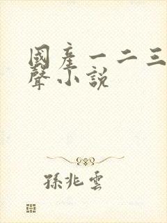 国产一二三区有声小说