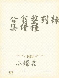公翁系列辣文全集借种