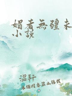 媚者无疆未删减小说
