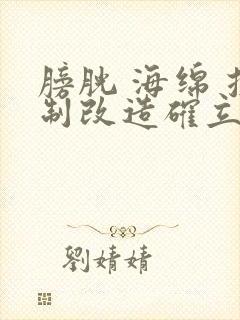 膀胱 海绵 控制改造确立m