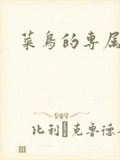 菜鸟的专属大神