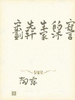 宋先生的宠妻计划轩家沐言