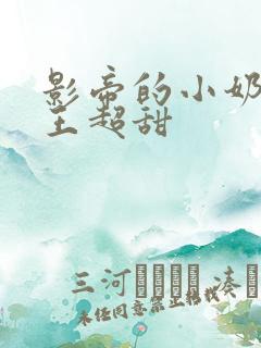 影帝的小奶狗舞王超甜