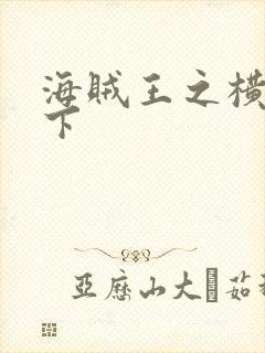 海贼王之横行天下