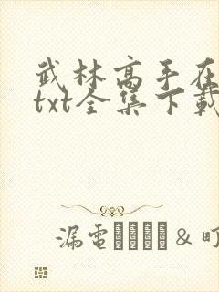 武林高手在异世txt全集下载