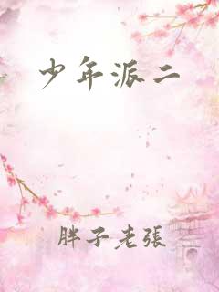 少年派二
