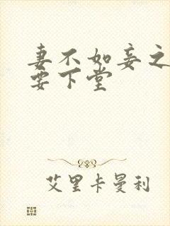 妻不如妾之夫人要下堂