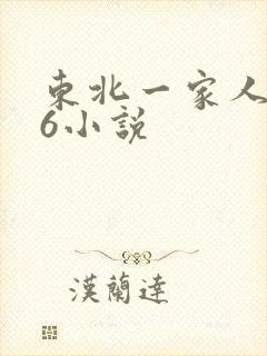 东北一家人1一6小说