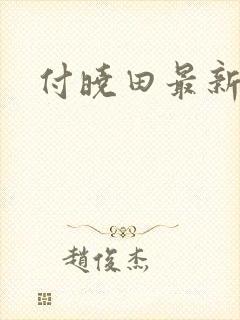 付晓田最新消息