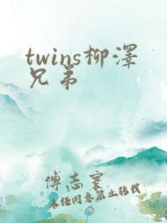 twins柳泽兄弟