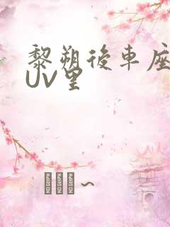 黎朔后车座上SUV里