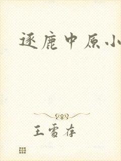 逐鹿中原小说