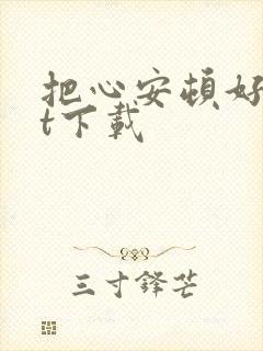 把心安顿好txt下载