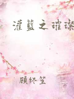 灌篮之璀璨生涯