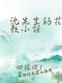 沈先生的花式调教小说