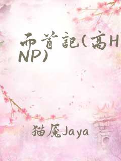 面首记(高H NP)
