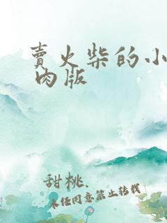 卖火柴的小男孩 肉版