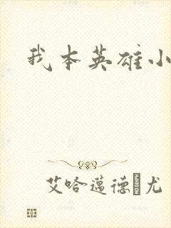 我本英雄小说