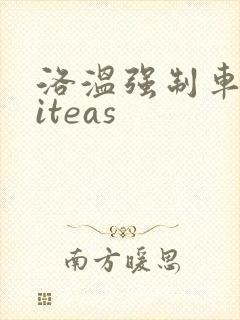 洛温强制车writeas