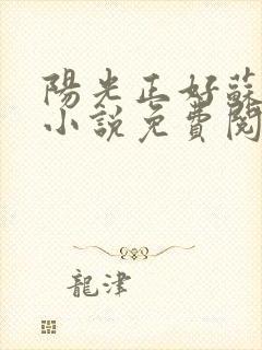 阳光正好苏玥玥小说免费阅读