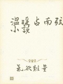 温暖占南弦尹衿小说
